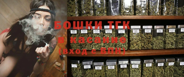дмт Алексин